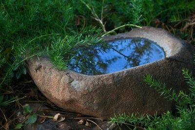 Bird bath on ground